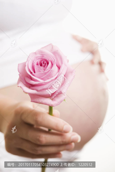 孕婦捧著粉紅玫瑰