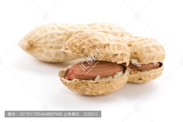 花生