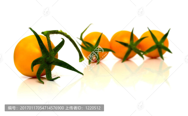 完美的黃色西紅柿
