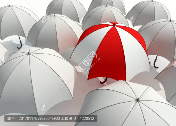 雨傘