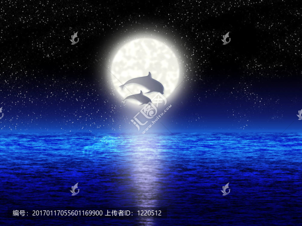 海豚