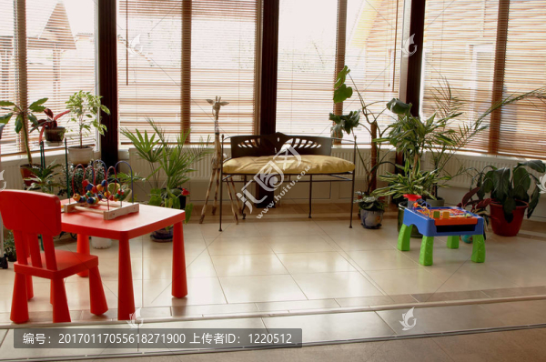 玩具和植物苗圃
