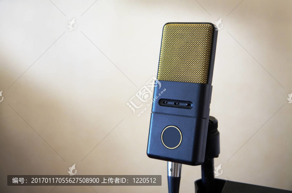 美麗時(shí)尚的麥克風(fēng)