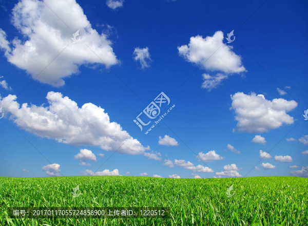 場(chǎng)上的天空
