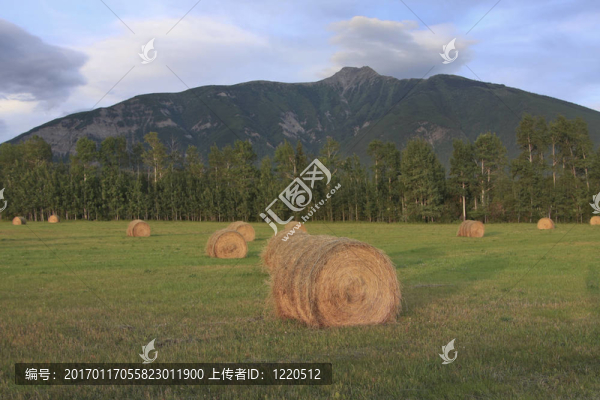 黃昏干草場(chǎng)