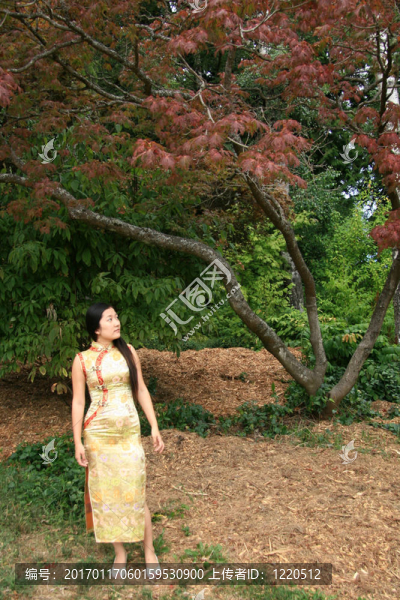 中國(guó)傳統(tǒng)女孩肖像