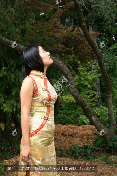 中國(guó)傳統(tǒng)女孩肖像