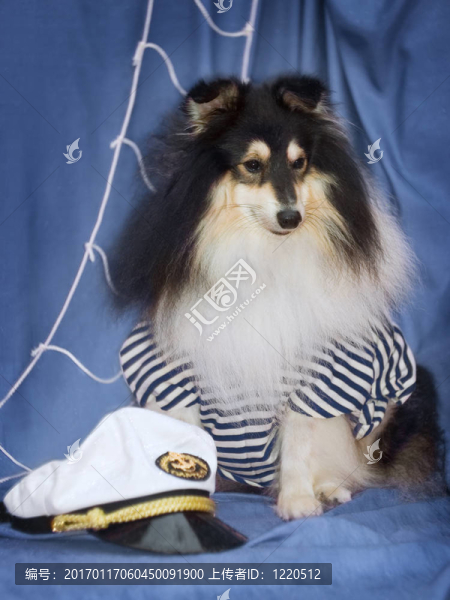 在水手服的喜樂蒂