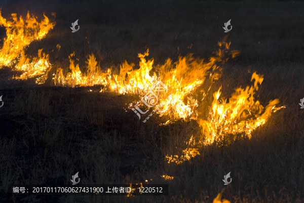 在草原火災(zāi)