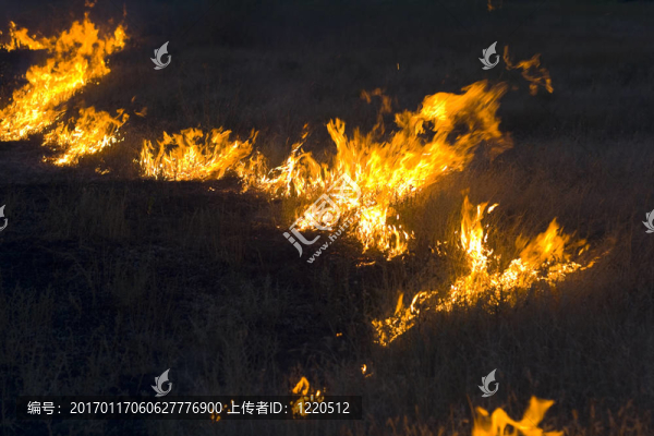 在草原火災(zāi)