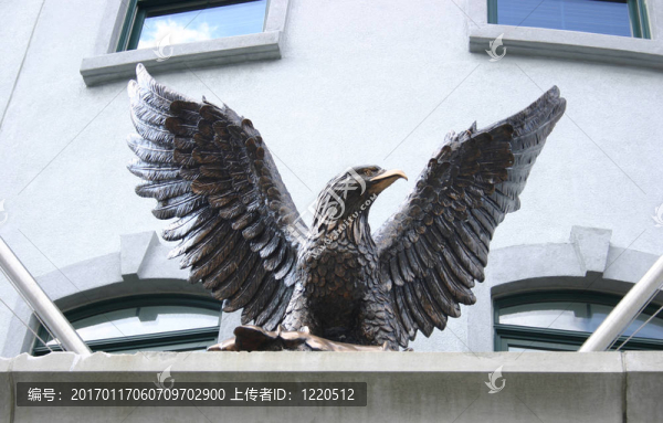 鐵鷹