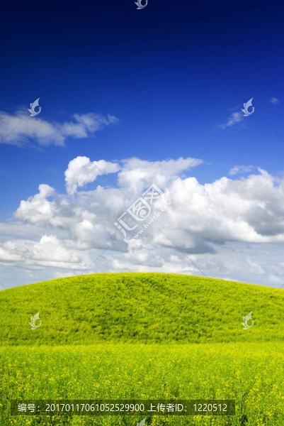 夏天的風(fēng)景。