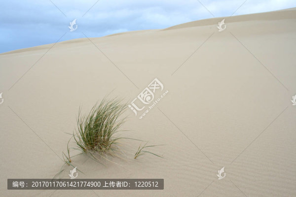 俄勒岡的畫像