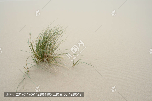 俄勒岡的畫像