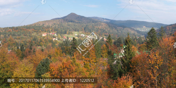 秋天的早晨