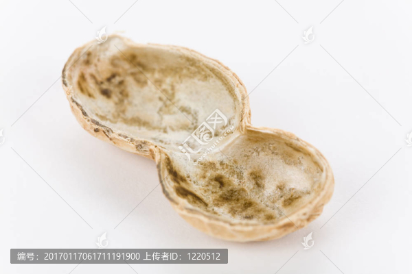 花生-匯圖網(wǎng) www.fosd68.com 花生