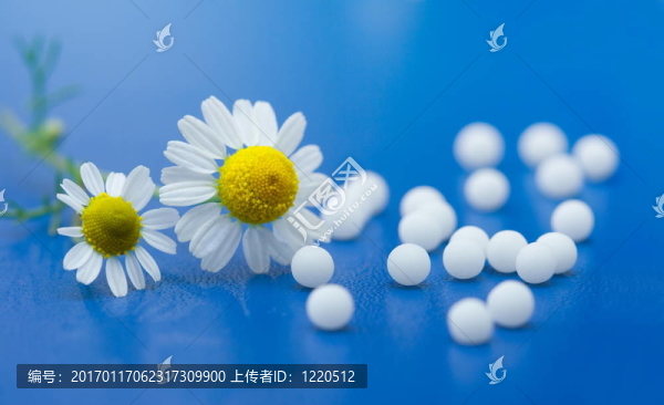 順勢療法的藥物