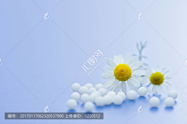 順勢療法的藥物