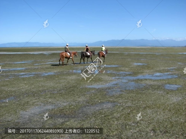 在馬的海底上