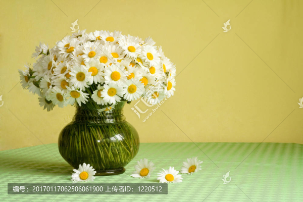 Daisy,bouquet在桌子上