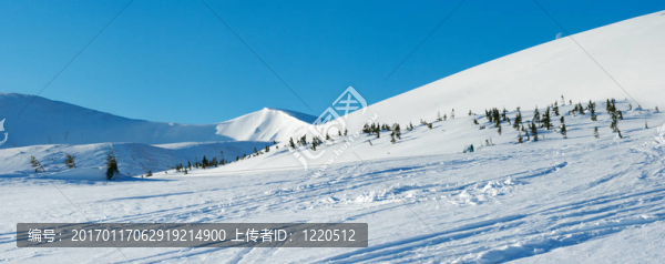冬山全景