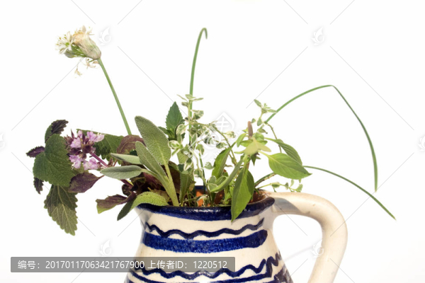花瓶里的新鮮香草
