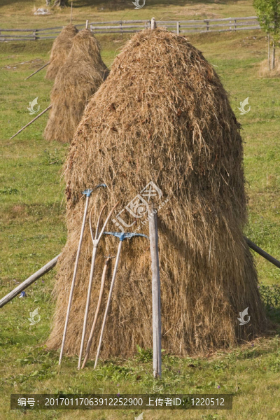 草垛