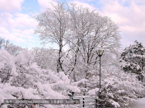 城市公園的冬天