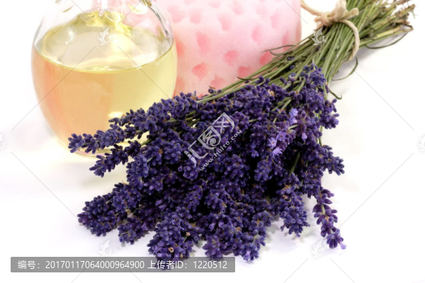 薰衣草油