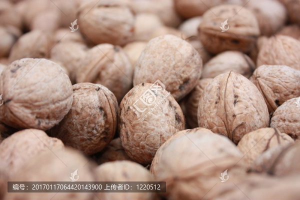 切爾克斯核桃