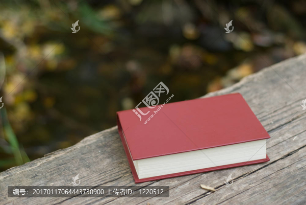 丟失的書