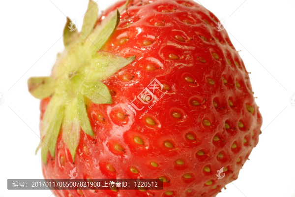 草莓