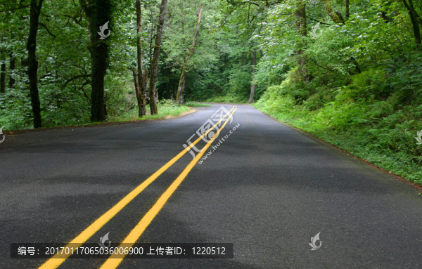 路