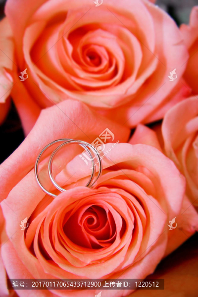 玫瑰花束中的兩個結(jié)婚戒指