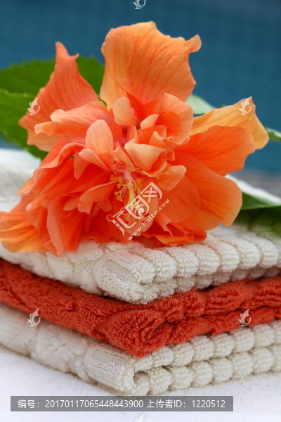 用軟毛巾疊hibiskus