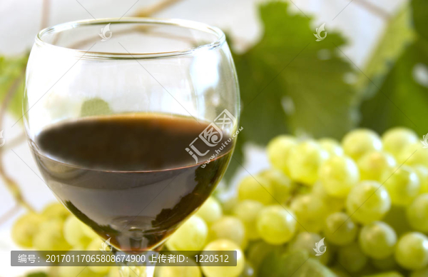 葡萄酒和葡萄