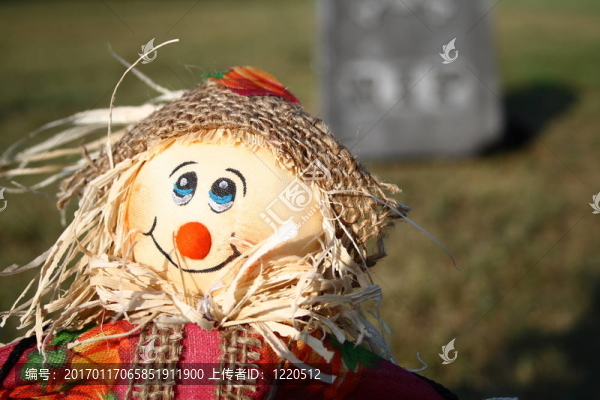 快樂(lè)的稻草人