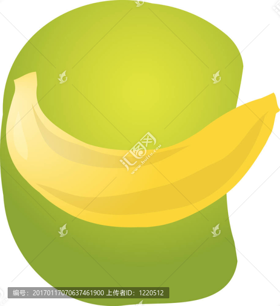香蕉果實的插圖