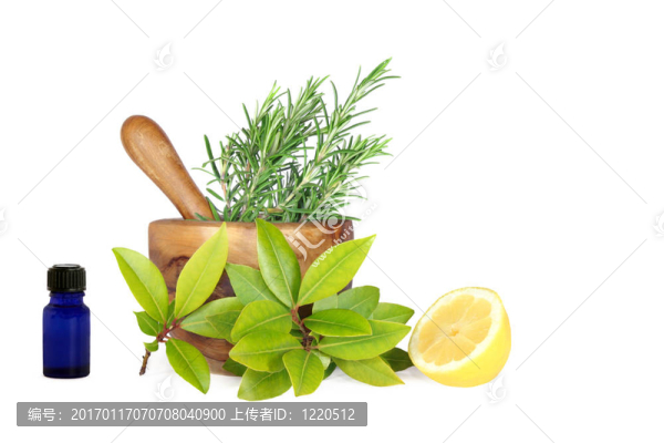 新鮮的檸檬和香草