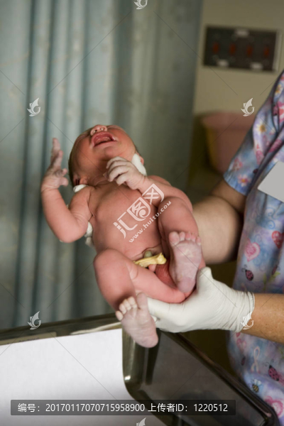 新生的嬰兒