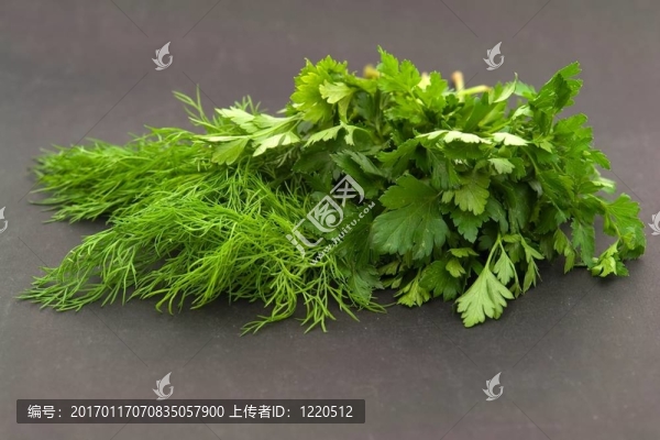 蒔蘿和歐芹