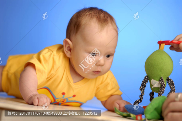 寶貝-匯圖網(wǎng) www.fosd68.com 寶貝