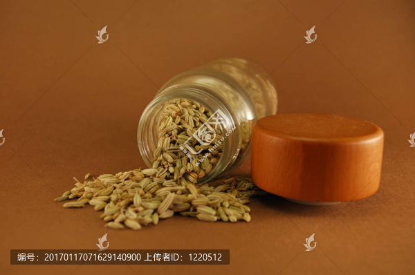 茴香