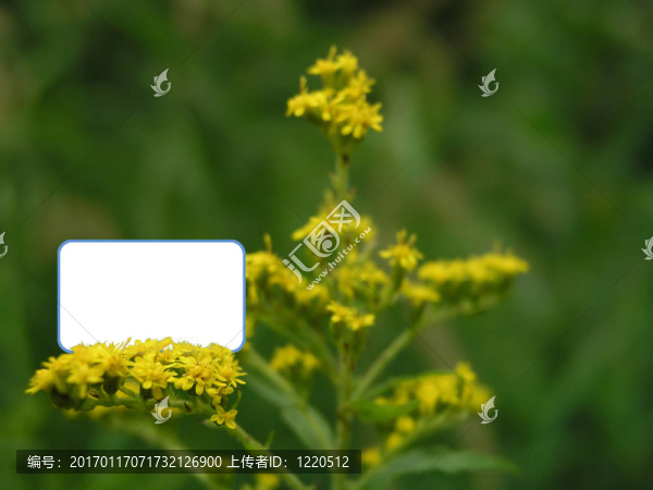 消息或標(biāo)志框-匯圖網(wǎng) www.fosd68.com 消息或標(biāo)志框