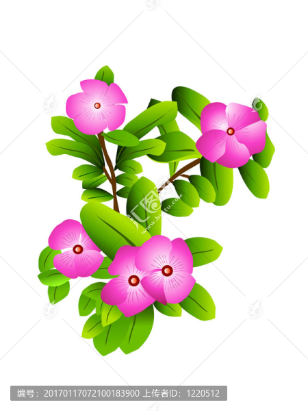 盛開(kāi)的花朵