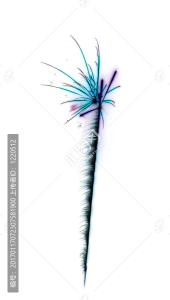 摘要慶典煙花