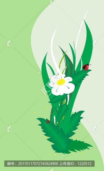 甘菊的瓢蟲