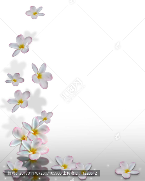 雞蛋花角設(shè)計(jì)
