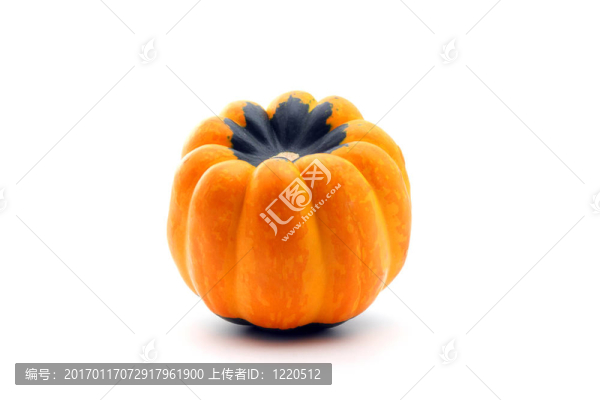 白色橙色南瓜-匯圖網(wǎng) www.fosd68.com 白色橙色南瓜