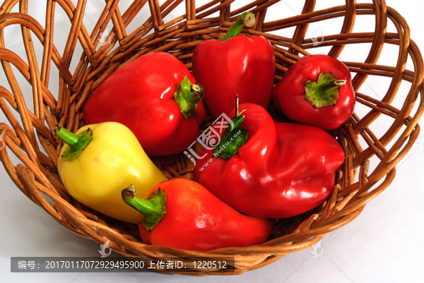 紅黃椒